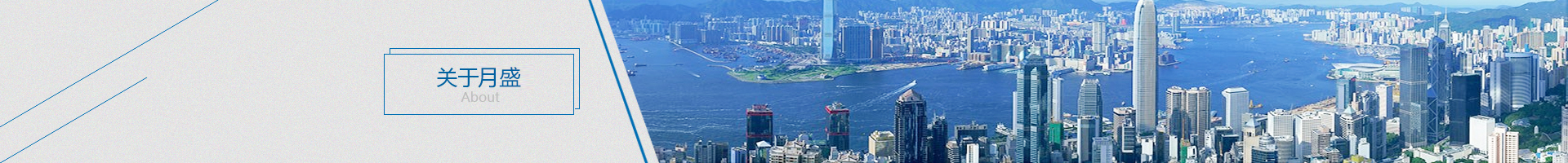 公司簡介